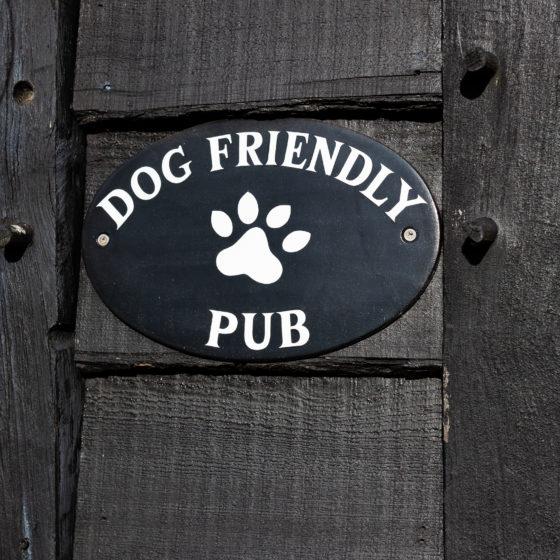 Dogfriendly Pub The Horseshoe The Horseshoe