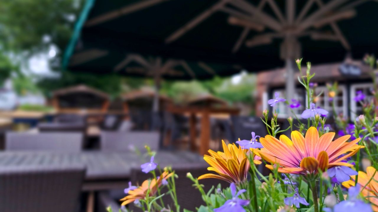 The Horseshoe Pub, Farleigh Road Warlingham, Relaxed Family Friendly